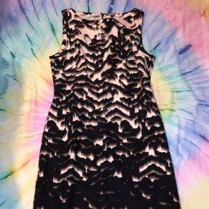 Petite Black Stripe Dress